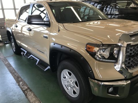 タンドラ　ベージュ　新車　Bushwacker 　オーバーフェンダー　ロックスタ―２